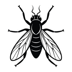Fly insect sketch symbol silhouette on white background