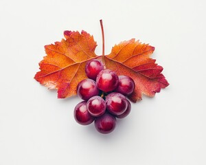 Red Grapes with Autumn Leaf on White Background