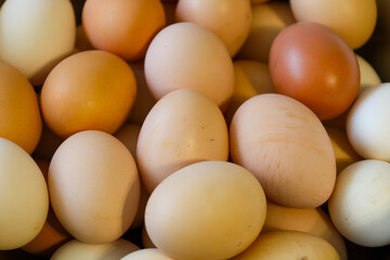 Multicolored chicken eggs, white and brown, tightly stacked together. Freshness, naturalness, and agricultural produce in close-up.