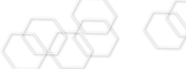 Light gray or white out line hexagon  3d effect pattern with shadow seamless texture background. Use for book, poster, flyer, website vector illustration. 