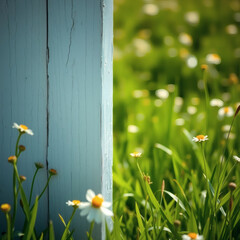 A white open door stands in a lush green field with wildflowers nearby