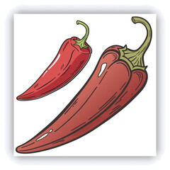 Sardine with tomato sauce and herbs were arranged nicely