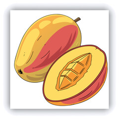 Bunch of fresh ripe mangoes hanging on a tree in mongo garden