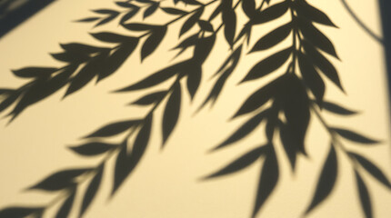 Abstract Plant Shadows