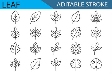 Minimalist Leaf Illustrations with Editable Stroke for Eco and Organic Designs