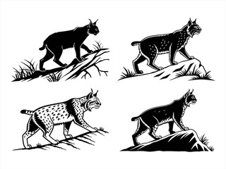 bobcat sihouette black vector bundle