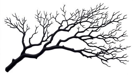 Obraz premium Black silhouette of a dry tree branch isolated on a white background