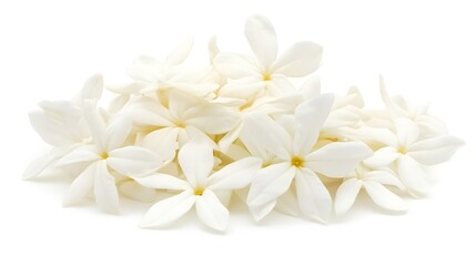Close-up cluster of pristine white blossoms.