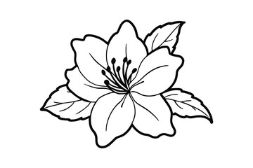 Fototapeta premium azalea flower minimalist silhouette vector isolated on white background