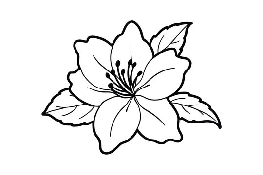 azalea flower minimalist silhouette vector isolated on white background