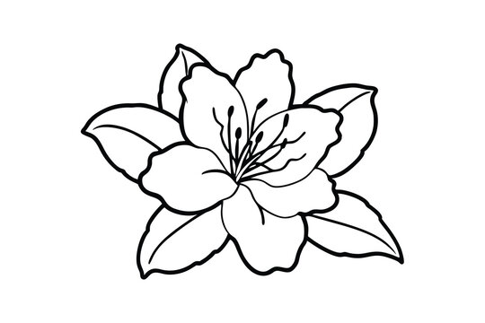 Azalea Vector Silhouette, Azalea flower vector icon isolated on a white background