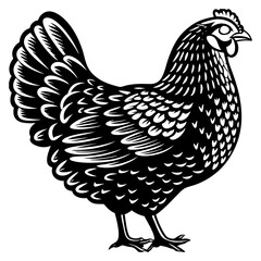 Silhouette of Hen isolated on white background