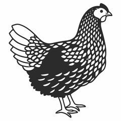 Silhouette of Hen isolated on white background
