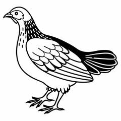 Silhouette of Hen isolated on white background

