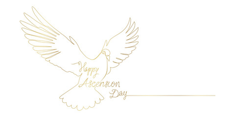 Dove line art style. for Ascension Day background vector