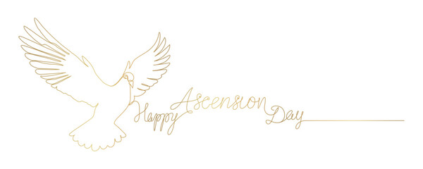 Dove line art style. for Ascension Day background vector 2