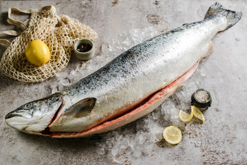 raw whole salmon on ice