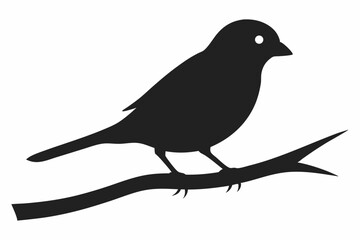 a bird silhouette vector on branch