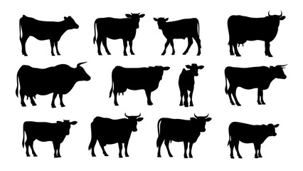 set of cows silhouette vector on tranparent background
