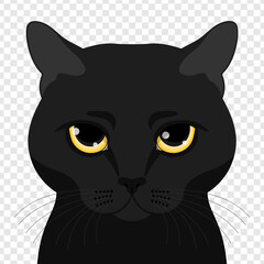 Obraz premium Black cat with big yellow eyes is peeking. Realistic style. Vector illustration