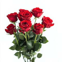 Elegant Bouquet of Fresh Red Roses with Lush Green Leaves Against a Clean White Background for Romantic and Floral Themes