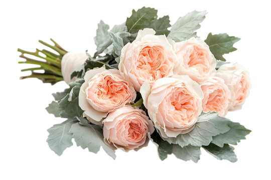 Peach Garden Roses Bridal Bouquet on Transparent Background