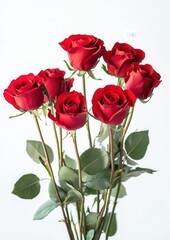 Obraz premium Vibrant Red Roses Bouquet with Green Leaves Against a Bright White Background for Floral Decor and Romantic Occasions