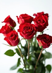Vibrant Red Roses in a Clear Vase Capturing Natural Beauty and Elegance for Floral Arrangements and Celebrations
