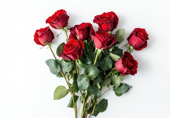 Obraz premium Vibrant Red Roses on White Background, Perfect for Celebrations, Romance, and Expressions of Love and Affection, Symbolizing Beauty and Passion