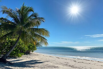Tropical Beach Scene Under Sunny Sky