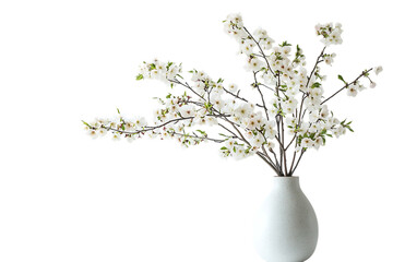 White Blossoms in Speckled Vase on Transparent Background