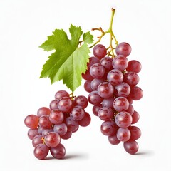 Fototapeta premium Fresh Red Grapes Hanging on Vine with Green Leaf Isolated Background