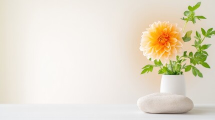 Dahlia Flower in Vase with Stone Minimalist Style High-resolution Soft Lighting Horizontal Close-up View Simple Arrangement Peaceful Serenity Perfect for Wellness Branding Warm Peach Tones
