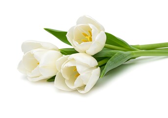 A small bouquet of white tulips with green leaves lying on a white surface in a studio setting light