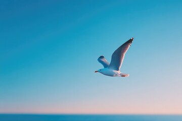 Fototapeta premium solitary bird soars high against clear sky minimalistic composition with abundant blue copy space