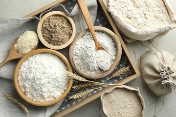 Different types of flour on light grey table, flat lay