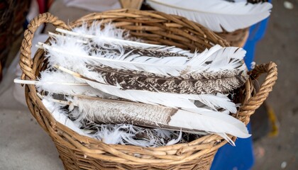 Fresh Turkey Feathers in Woven Basket at Farm Market Stall