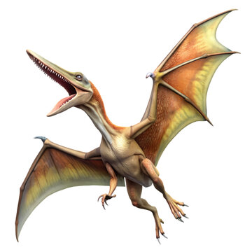 Pterodactyl Prehistoric Flying Reptile Image isolated on transparent background