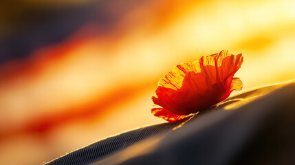 A red poppy on denim honors Memorial Day, with a flag softly behind, bathed in golden light. Remembrance and patriotism in a simple symbol.