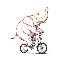 Elephant Riding Bicycle with Raised Trunk - Sketch Illustration