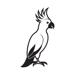 Cockatoo Raising Crest And Standing Tall Pose