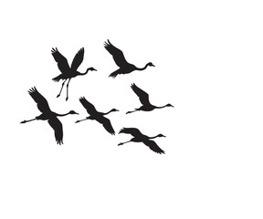 Greater Flamingo Flock In Flight Black Silhouette