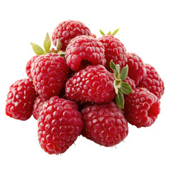 Fresh red raspberries