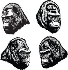 vector image of a set of gorilla faces