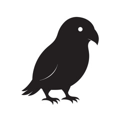 Kakapo Flightless Parrot Waddling On Forest Floor