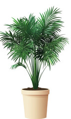 Obraz premium Decorative potted palm tree