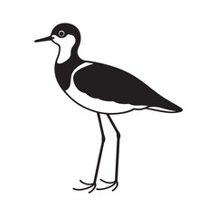 Lapwing With Crest Mid Step In Shallow Water