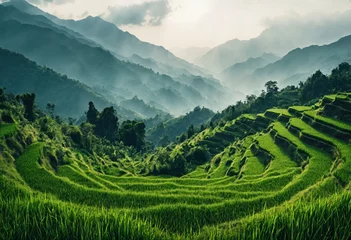 Fotobehang Rijstvelden Terraced Rice Fields  © Murilo