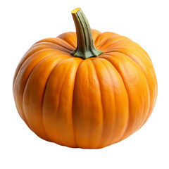 Obraz premium Perfect Orange Pumpkin Autumn Harvest Vegetable isolated on transparent background