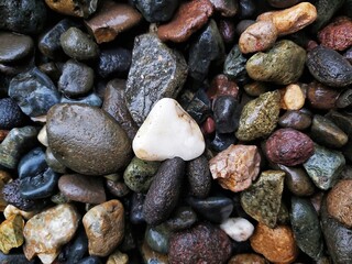 pebbles on the beach